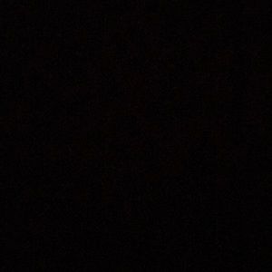 Meet your Posher, Layla